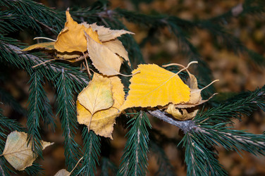 Similar image 5529639