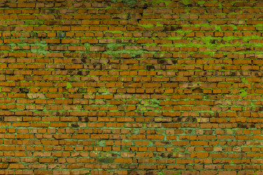 Similar image 5529652