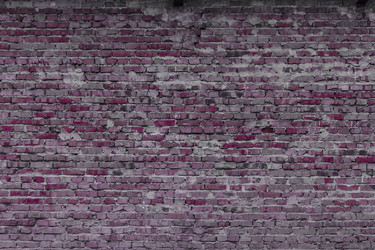 Similar image 5529654