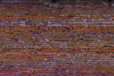 Similar image 5529656