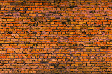 Similar image 5529668