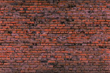 Similar image 5529669