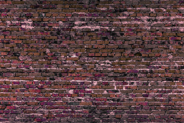 Similar image 5529671