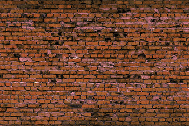 Similar image 5529672