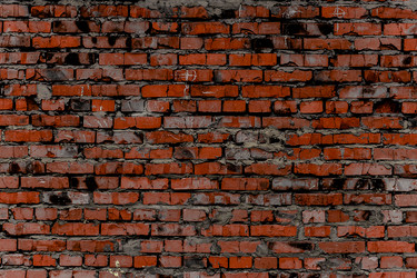 Similar image 5529686