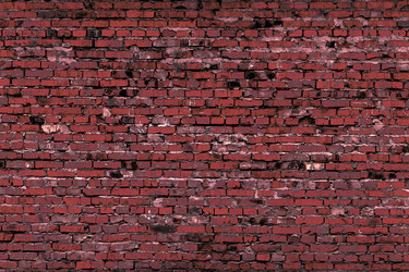 Similar image 5529692