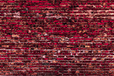 Similar image 5529696