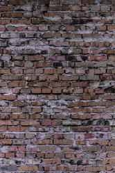 Similar image 5529719