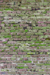 Similar image 5529722