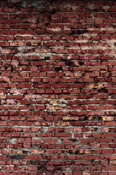 Similar image 5529805