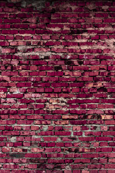 Similar image 5529806