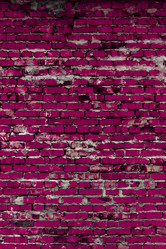 Similar image 5529807