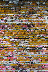 Similar image 5529810