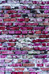 Similar image 5529812