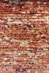 Similar image 5529814