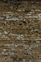 Similar image 5529822