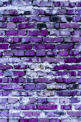 Similar image 5529839