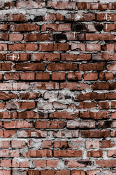 Similar image 5529841