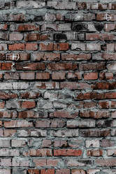 Similar image 5529842