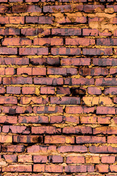 Similar image 5530487