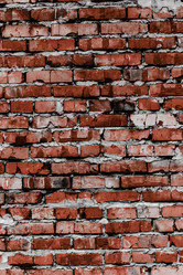 Similar image 5530499