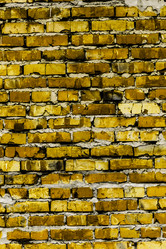 Similar image 5530500