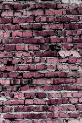 Similar image 5530502