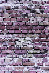 Similar image 5530509