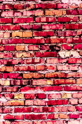 Similar image 5530512