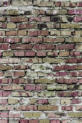 Similar image 5530517