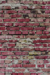 Similar image 5530518