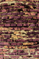 Similar image 5530519