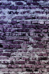 Similar image 5530546