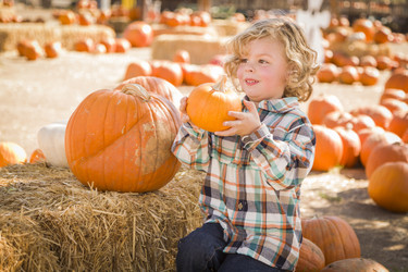 Similar image 5530586