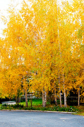 Similar image 5530589