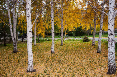 Similar image 5530591