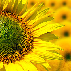 Similar image 5530698