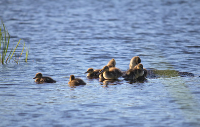 Similar image 5530700