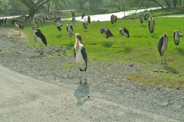 Similar image 5530707