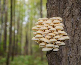 Similar image 5530709