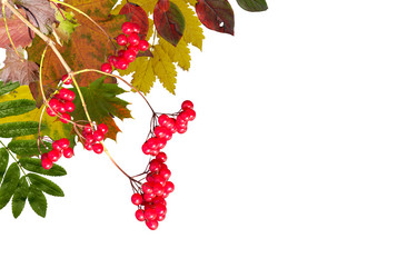 Similar image 5530730