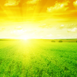 Similar image 5530744