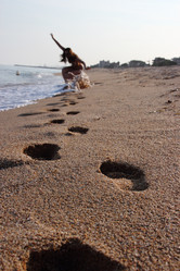 Similar image 5530759