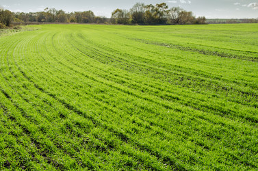 Similar image 5530787