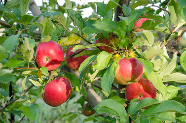 Similar image 5530788