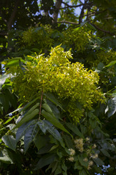 Similar image 5530801