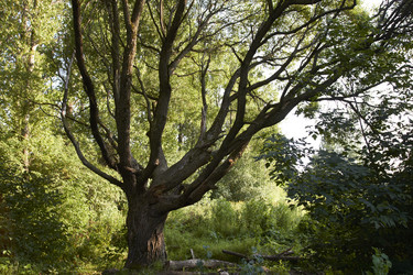 Similar image 5530802