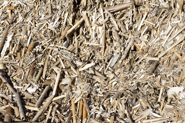 Similar image 5530804