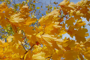 Similar image 5530826