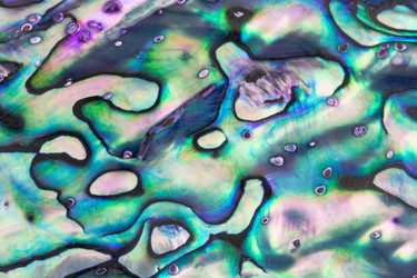 Similar image 5530889